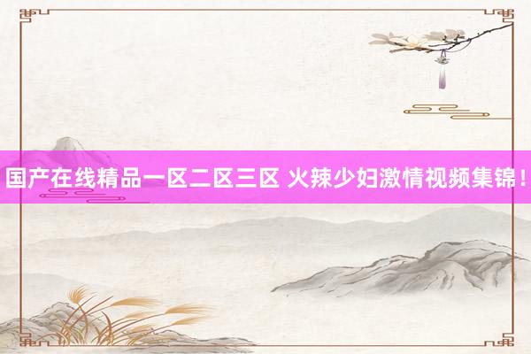 国产在线精品一区二区三区 火辣少妇激情视频集锦！