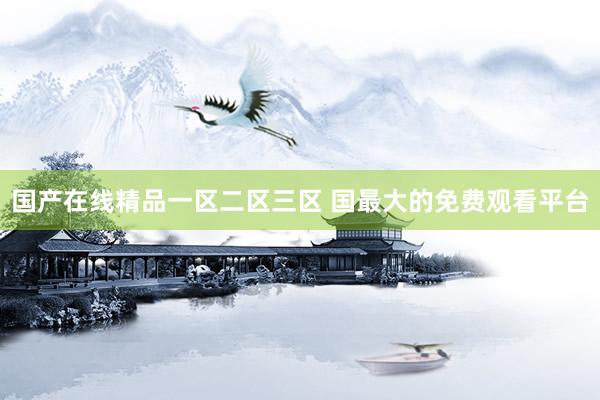 国产在线精品一区二区三区 国最大的免费观看平台