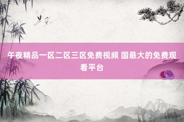 午夜精品一区二区三区免费视频 国最大的免费观看平台