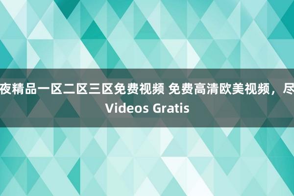 午夜精品一区二区三区免费视频 免费高清欧美视频，尽在Videos Gratis