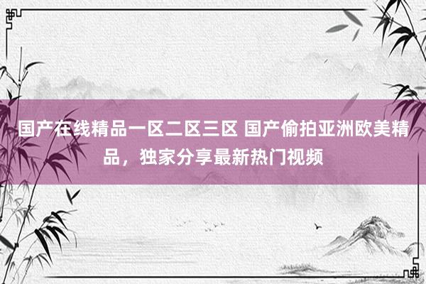 国产在线精品一区二区三区 国产偷拍亚洲欧美精品，独家分享最新热门视频