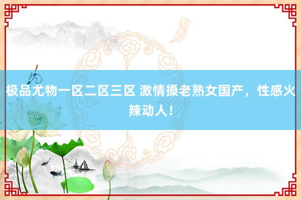 极品尤物一区二区三区 激情搡老熟女国产，性感火辣动人！