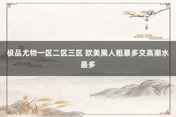 极品尤物一区二区三区 欧美黑人粗暴多交高潮水最多