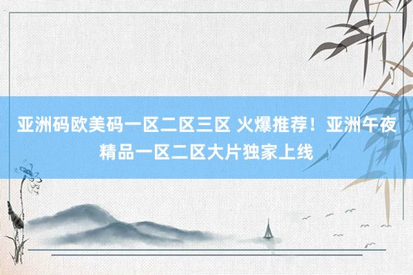 亚洲码欧美码一区二区三区 火爆推荐！亚洲午夜精品一区二区大片独家上线