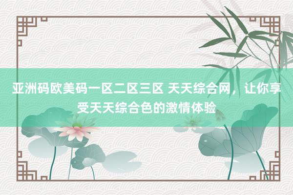 亚洲码欧美码一区二区三区 天天综合网，让你享受天天综合色的激情体验